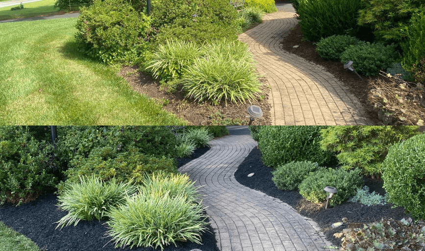 PLANTING SERVICES